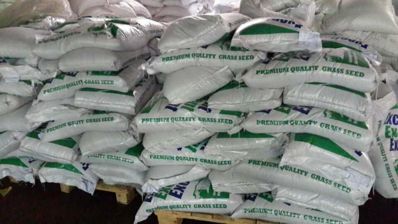 供應(yīng)用于養(yǎng)魚(yú)的湖北養(yǎng)魚(yú)牧草種子