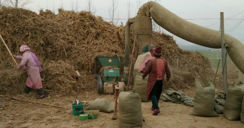 郓城广运草粉厂，厂家直销用于大型图片