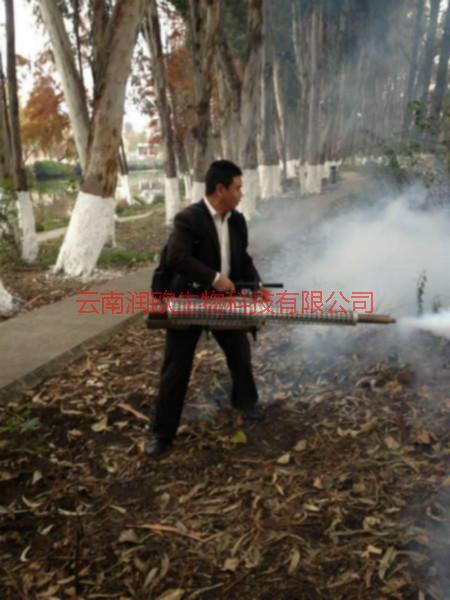 供應(yīng)昆明五華區(qū)*門(mén)診滅蟑螂找哪家-昆明五華區(qū)*門(mén)診滅蟑螂找哪家公司-昆明五華區(qū)*門(mén)診滅蟑螂找哪家價(jià)格合理-電話