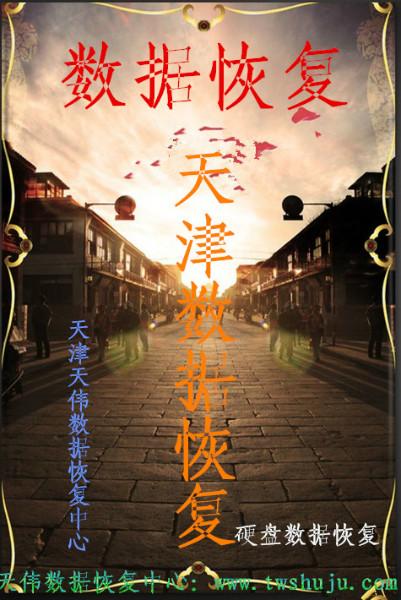 天津移動(dòng)硬盤數(shù)據(jù)恢復(fù)圖片