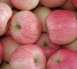 紅富士蘋(píng) 紅富士蘋(píng)價(jià)格紅富士蘋(píng)果產(chǎn)地