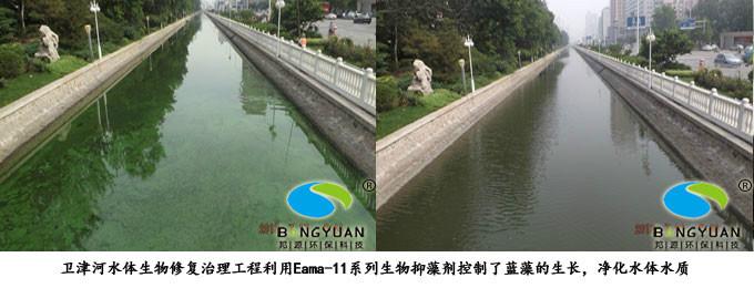 供應(yīng)DC-BZ【Ⅰ型】藍(lán)藻溶解酶，藍(lán)藻治理★明星產(chǎn)品★