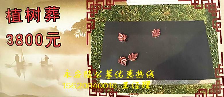 供應(yīng)永安陵公墓天津公墓，天津公墓網(wǎng)永安陵公墓天津公墓