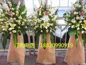 供應(yīng)深圳福田區(qū)開業(yè)花籃哪里買，商場開業(yè)花籃大全