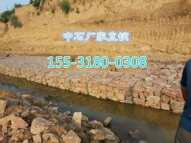 雷諾護墊圖片