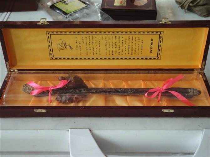 梅花鹿鹿鞭圖片/梅花鹿鹿鞭樣板圖 (4)