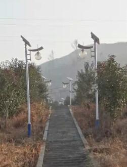 供應(yīng)福建德化縣4米太陽(yáng)能庭院燈廠家