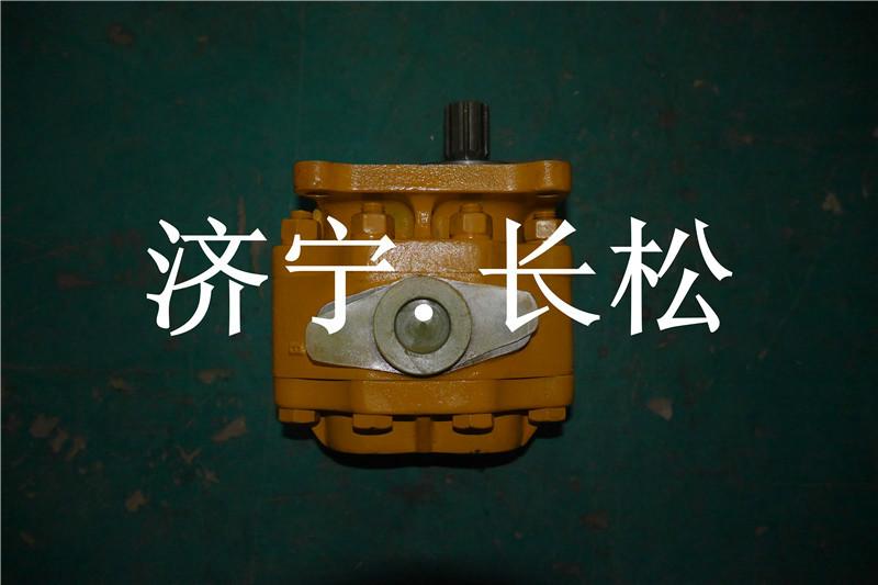 山推推土機(jī)變速泵07443-71103圖片/山推推土機(jī)變速泵07443-71103樣板圖 (3)