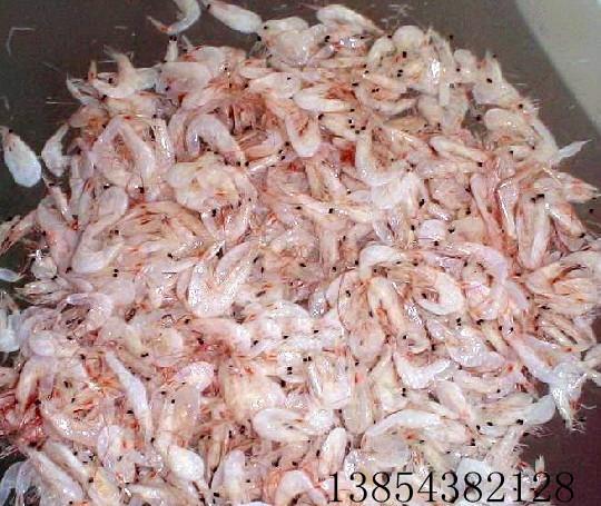 調(diào)料蝦皮圖片