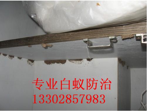供應(yīng)順德白蟻防治上門檢測電話，順德大良白蟻防治公司服務(wù)，順德大良白蟻防治公司