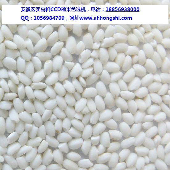 供應(yīng)小型大米色選機(jī)、小型組合米機(jī)色選、微型色選機(jī)、合作社色選機(jī)、小米色選機(jī)