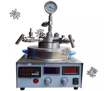 TGYF臺式高壓反應釜.0.05L圖片