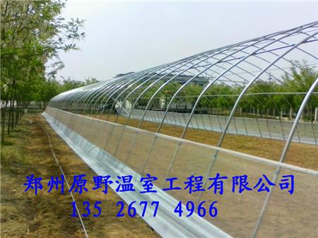 供应用于温室大棚建设的专业食用菌养殖大棚建设标准厂家图片