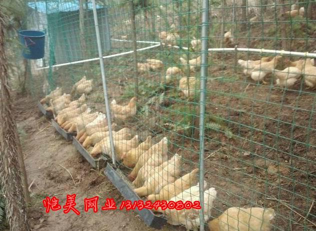 武漢篩網(wǎng)圖片